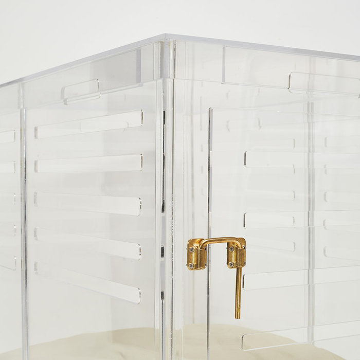 Clear Acrylic Dog CratetoGate & Reviews AllModern